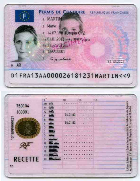 French_driving_license_2013.png