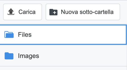carica_IT-IT.jpg