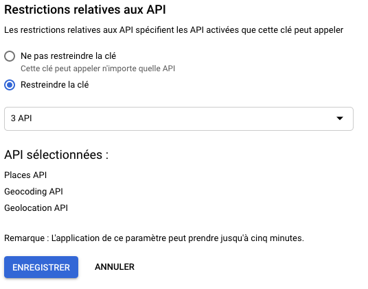 api-restriction.png