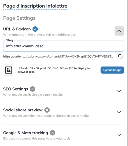 Page settings with the slug and favicon