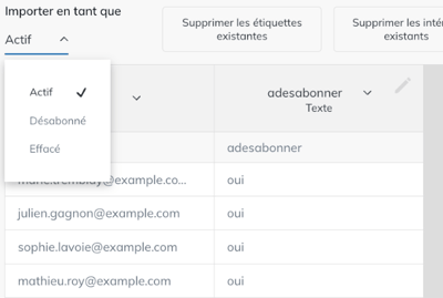 Menu Importer en tant que avec les statuts Actif, Désabonné et Effacé