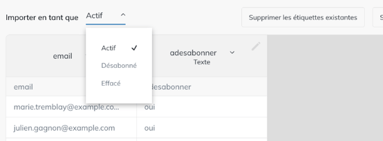 Menu Importer en tant que avec les statuts Actif, Désabonné et Effacé