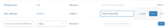 Modifica del nome da visualizzare di un attributo visibile