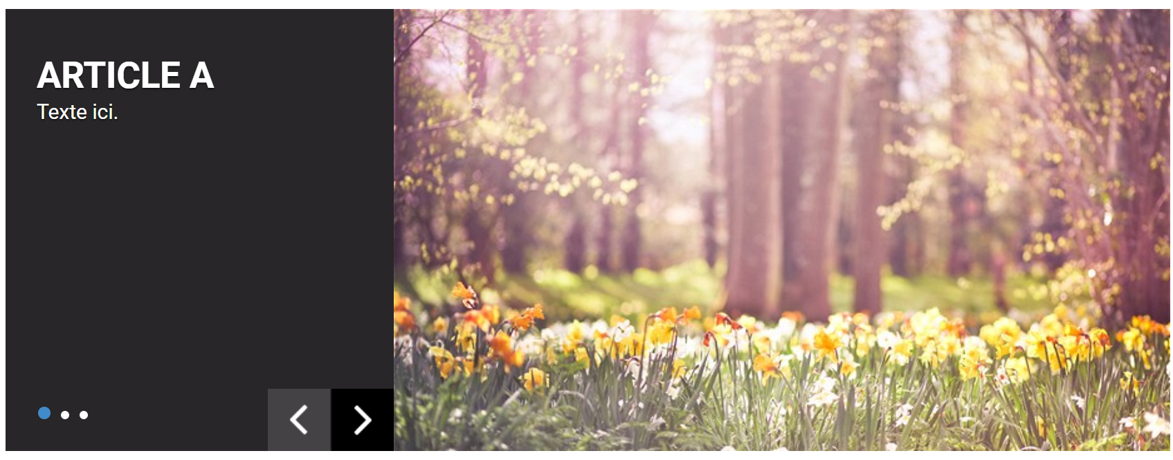 Slider in Image with text on the left mode