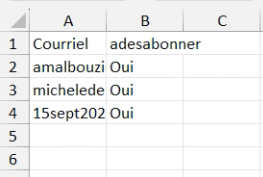 Fichier Excel avec une colonne email et une colonne adesabonner