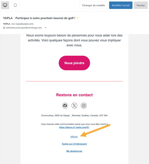 Aperçu de la campagne avec le lien d'affichage en bas de l'email