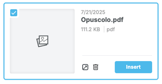 Gestione file con un documento PDF pronto per essere inserito